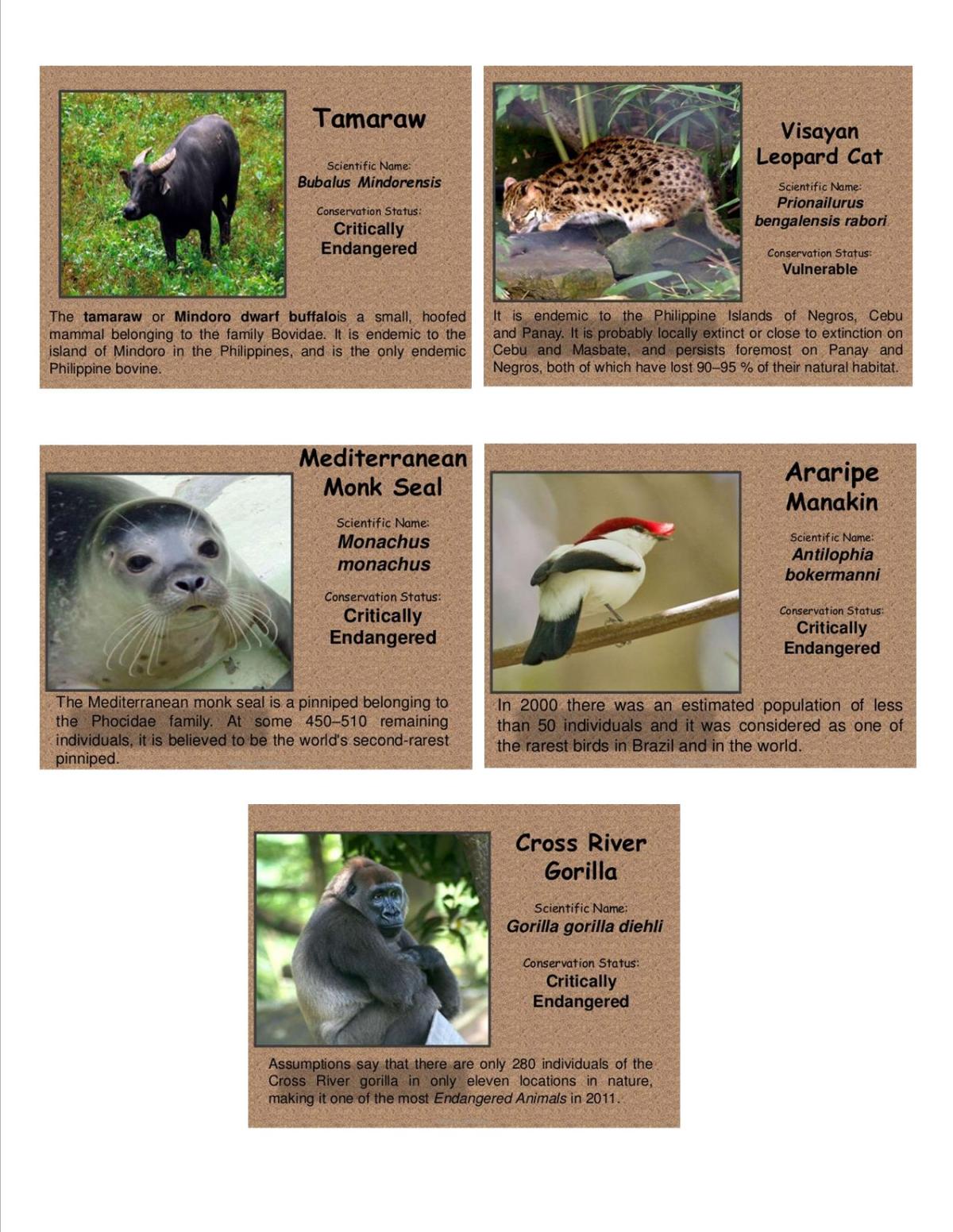 Endangered Animals Collection – Pixel Search Help Blog